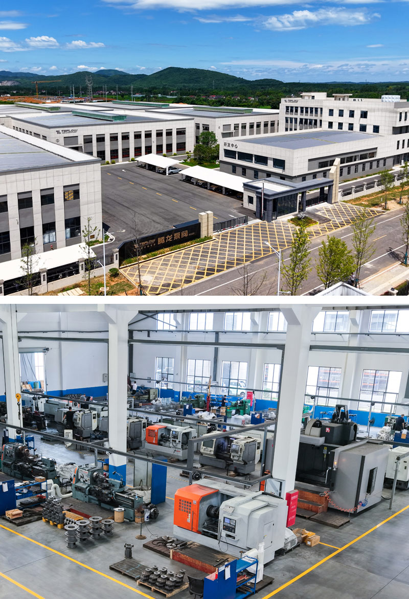 spécialistes en pompes à entraînement magnétique personnalisées - pompe Tenglong & valve